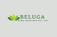 Beluga Agro Holdings Pvt Ltd