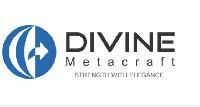 DIVINE METACRAFT