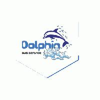 Dolphin Bus