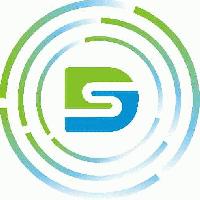 Ds Solutions