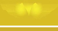 Vedic Services