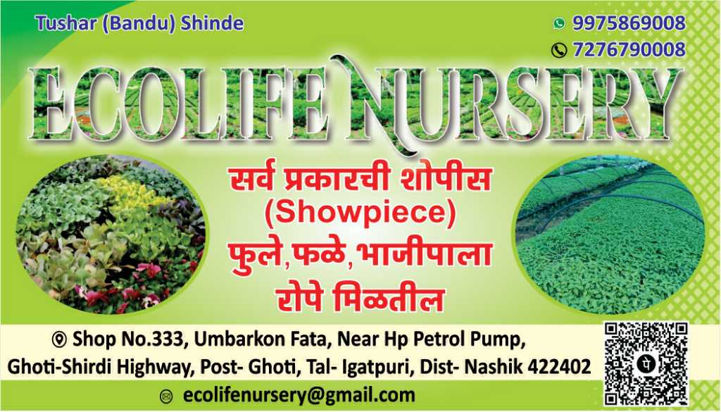 Ecolife Nursery