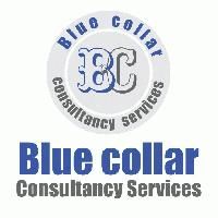 Blue Collar Consultancy