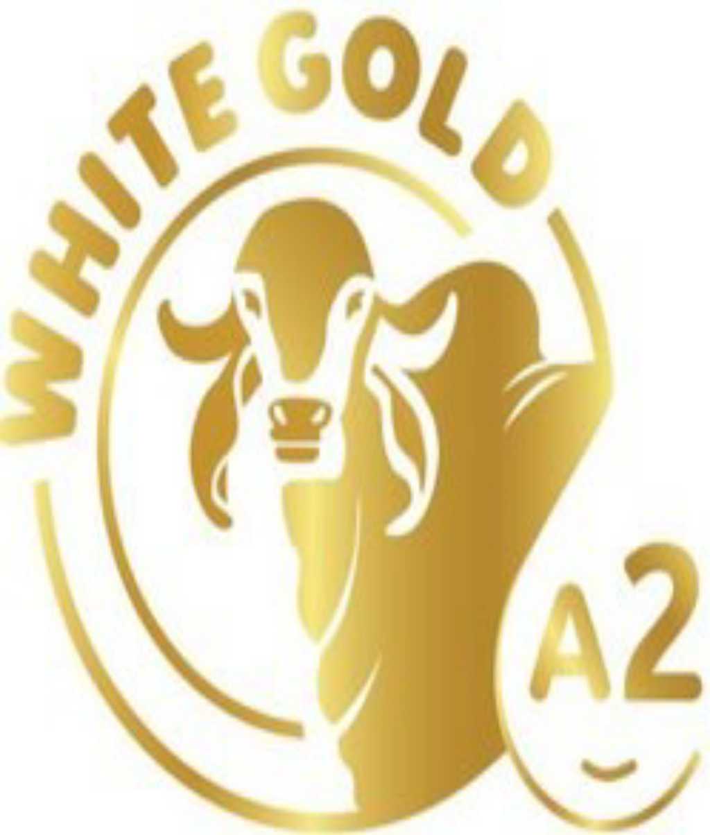 White Gold Ato Cow Milk