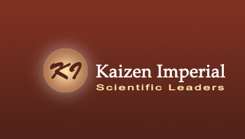 Kaizen Imperial