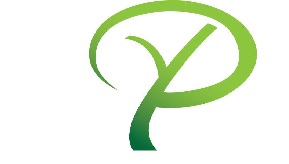 Y&P Engineers Pvt. Ltd.