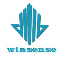 Shandong Winsense Machinery Co.,Ltd