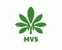 MVS Enterprises