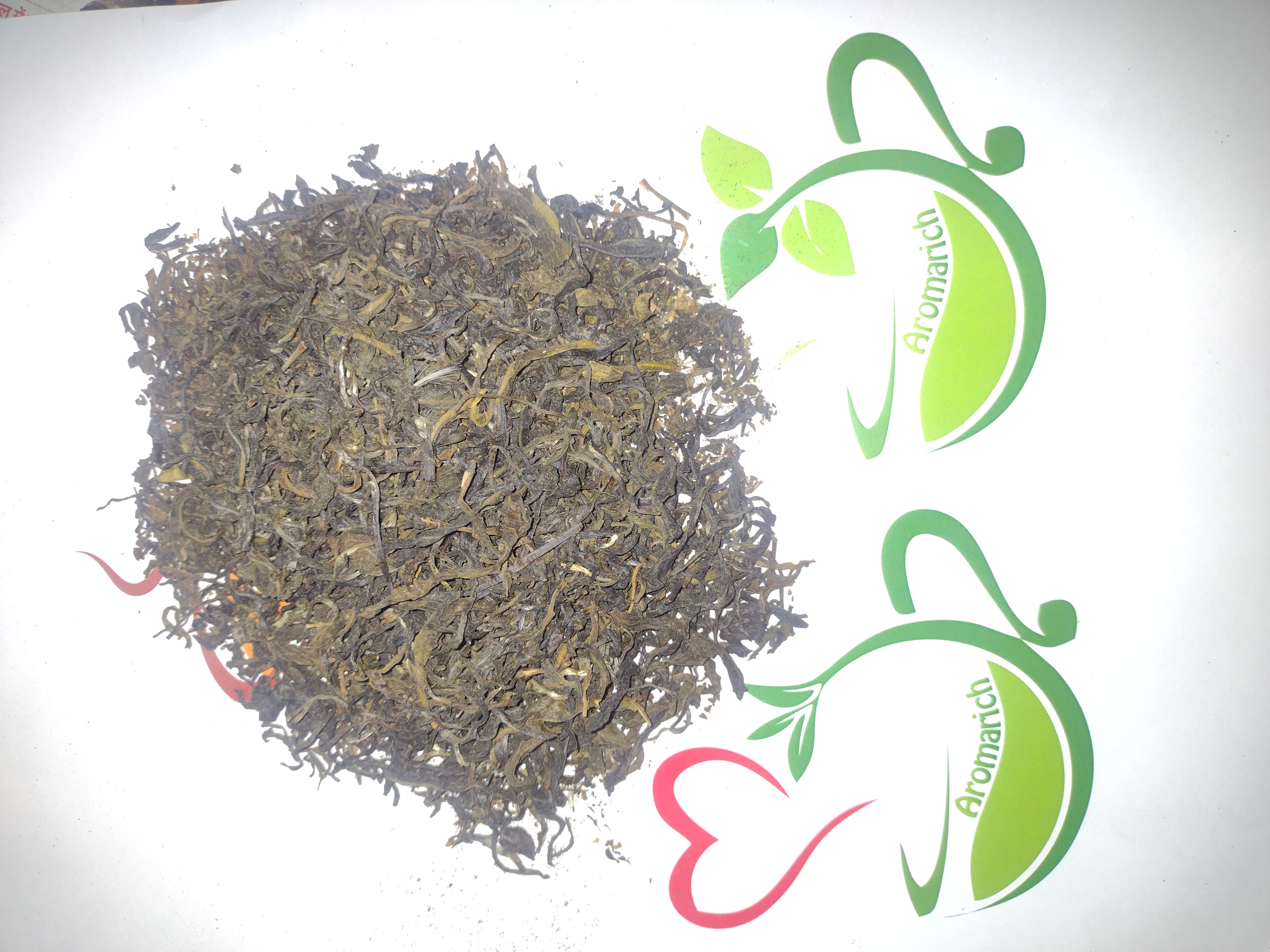 Circle International