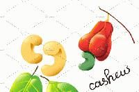 JAI SAN CASHEWS 