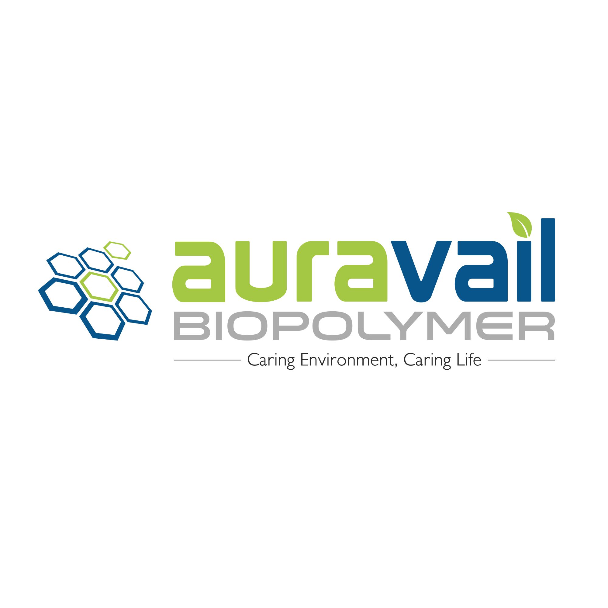 AURAVAIL BIOPOLYMER INDIA PRIVATE LIMITED