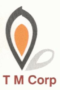T M Corp