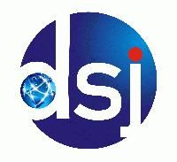 dsj Management Systems Solutions