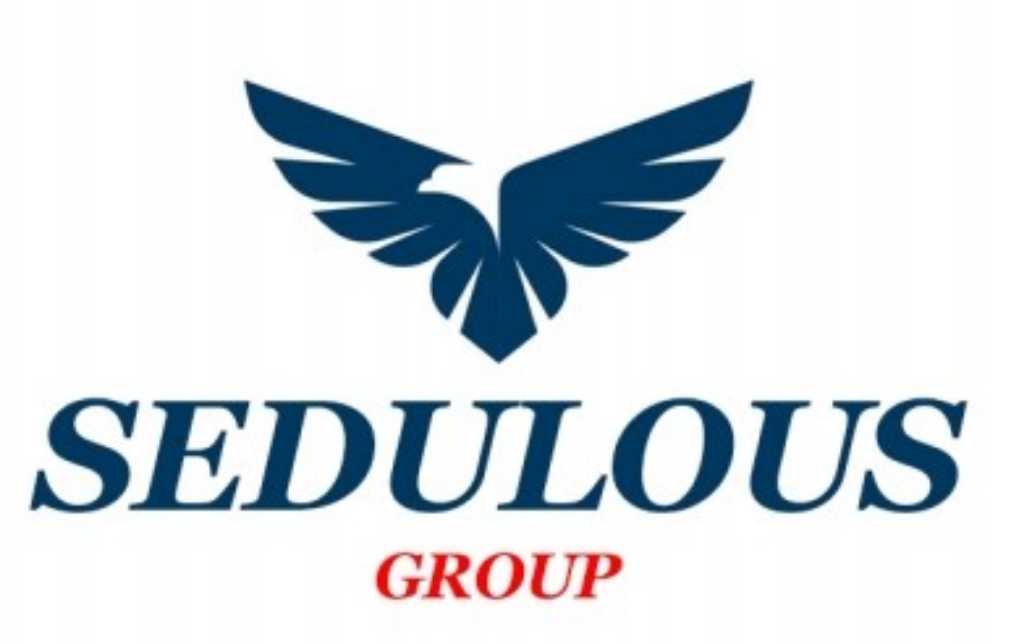 SEDULOUS GROUP