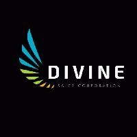 Divine Sales Corporation