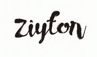 Shenyang Ziyton Trade Co., Ltd.