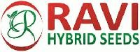 Ravi Hybrid Seeds Pvt. Ltd.