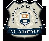 Tib Academy 