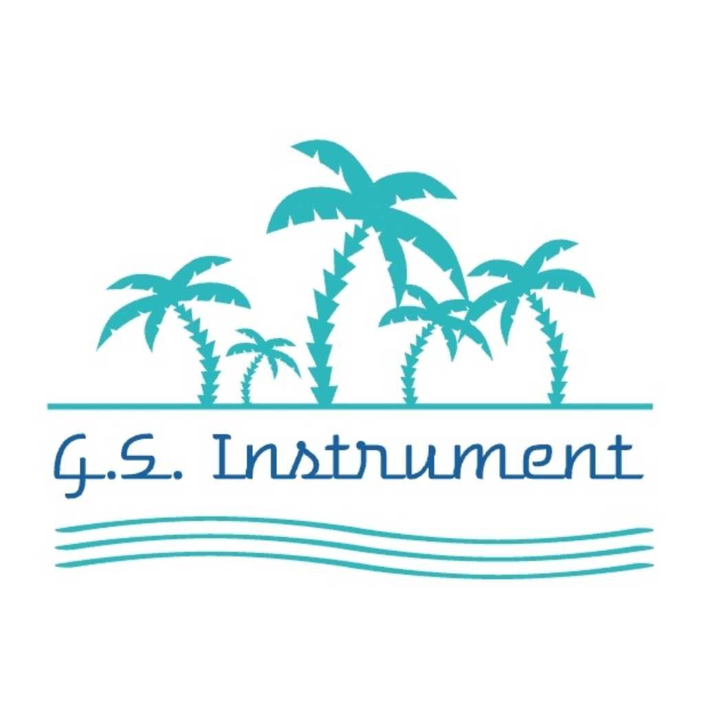 G.S. Instrument Pvt. Ltd.