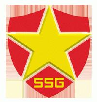 Star Security Group