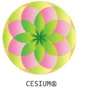 Cesium Products Private Limited