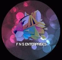 FNS ENTERPRISES