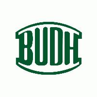 Budh Singh & Sons