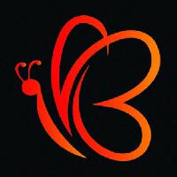 Brandsilk Corporation