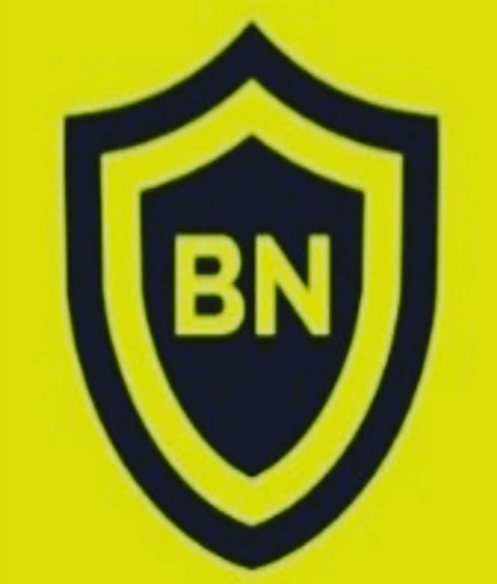 BN GLOBAL ENTERPRISES