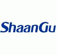 Xi'an ShaanGu Power Co.,Ltd