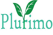 Plurimo International Limited