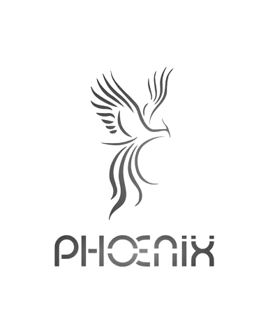 Phoenix Medical Technologies And Imports
