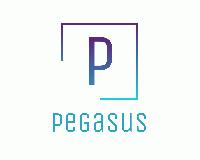 Pegasus Ventures