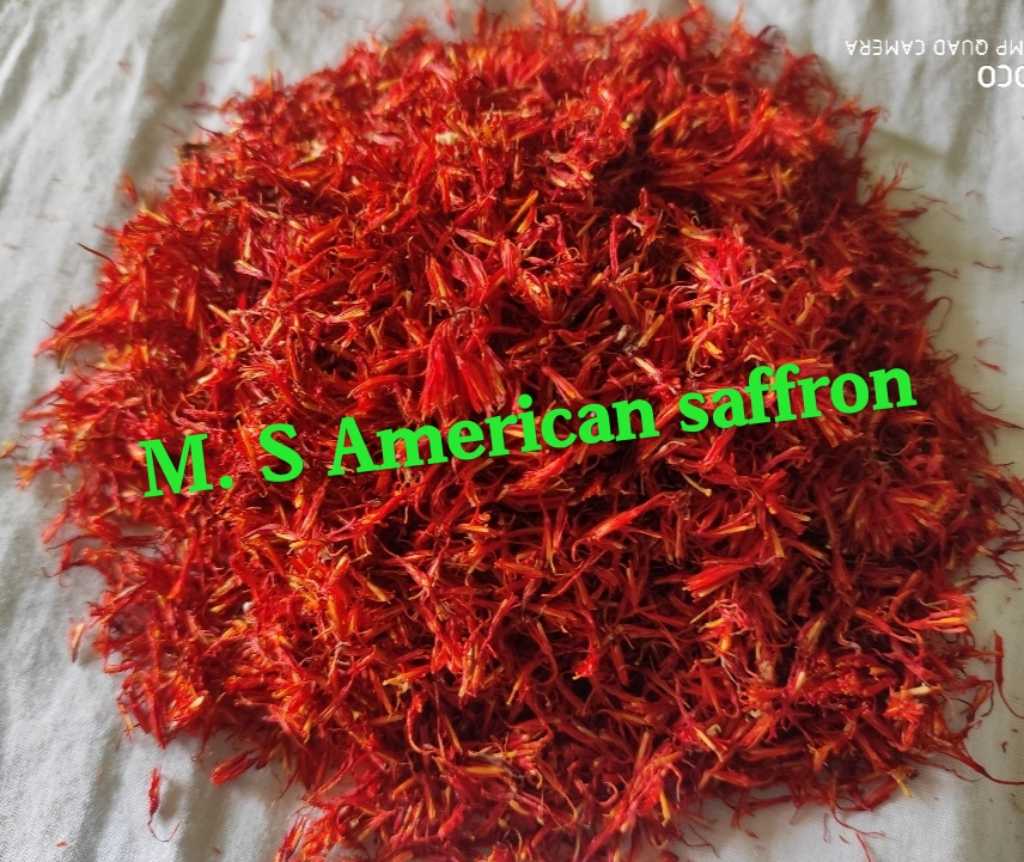 Off White American Saffron Seeds at Price Range 45,000 65,000 INR