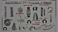 Carbon Spring