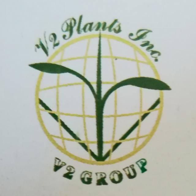 V2 PLANTS INC