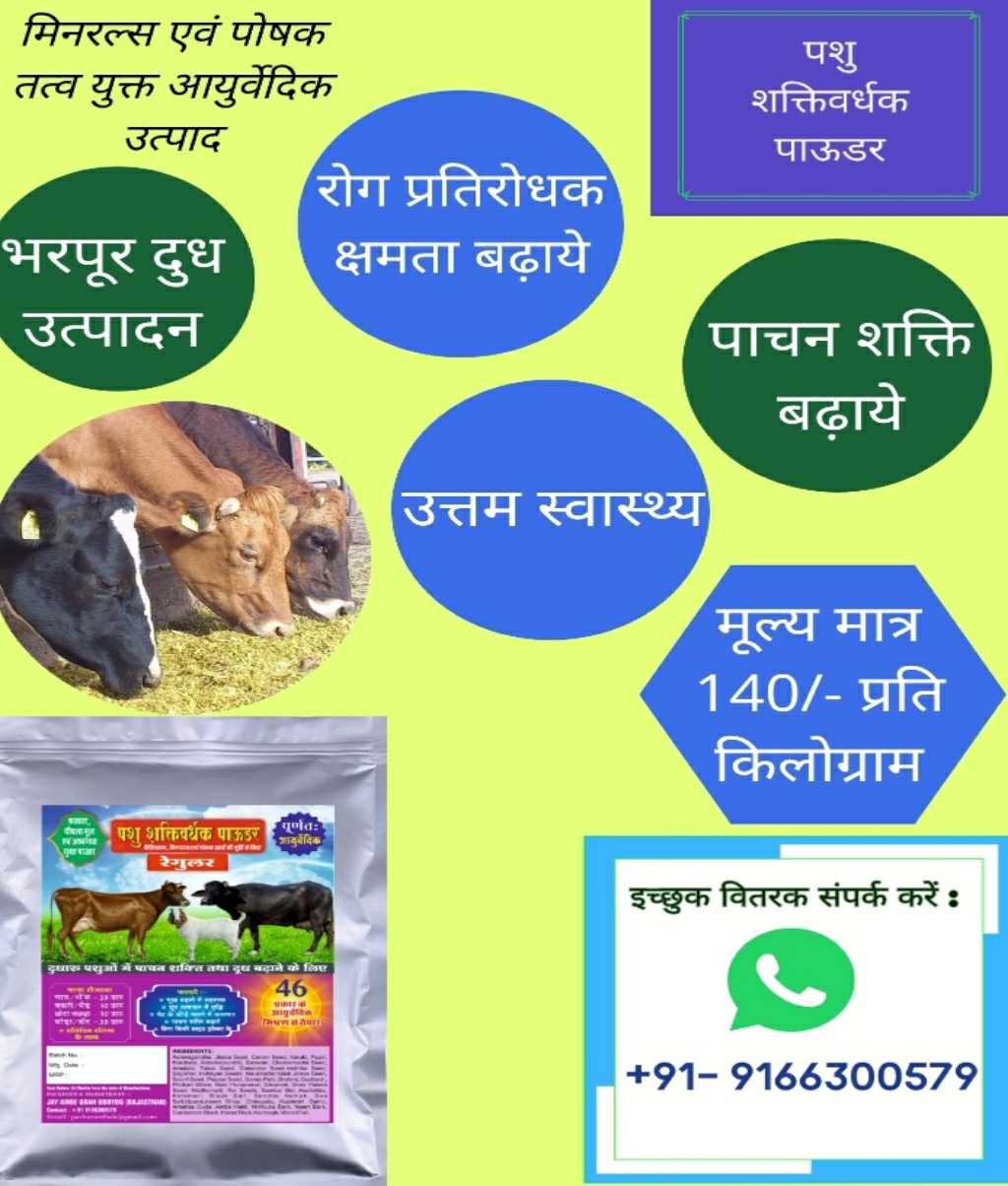 Jay Ambe Cattle Feed Products