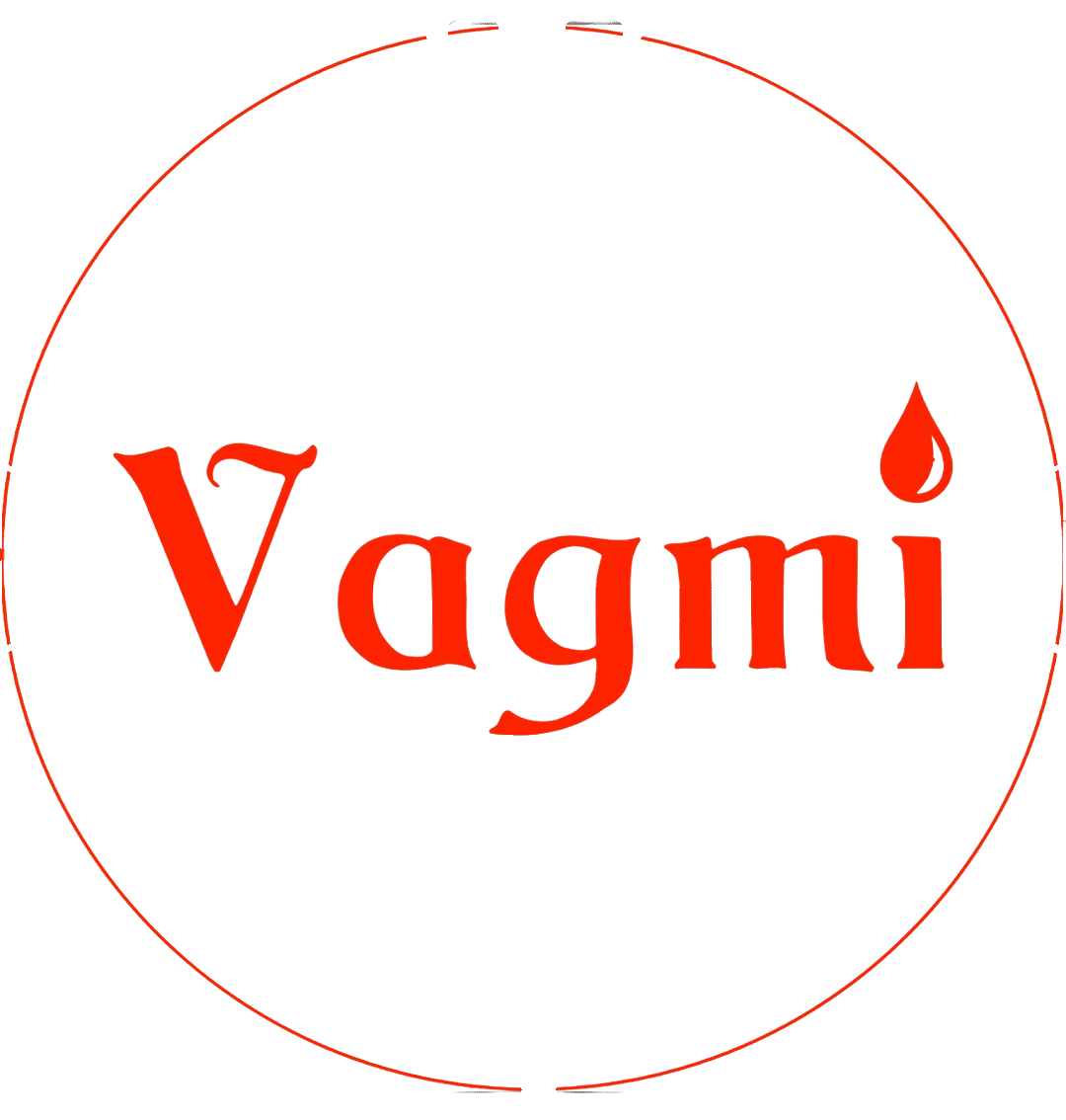 Vagmi Enterprises