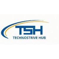 Technostrive Hub Private Limited