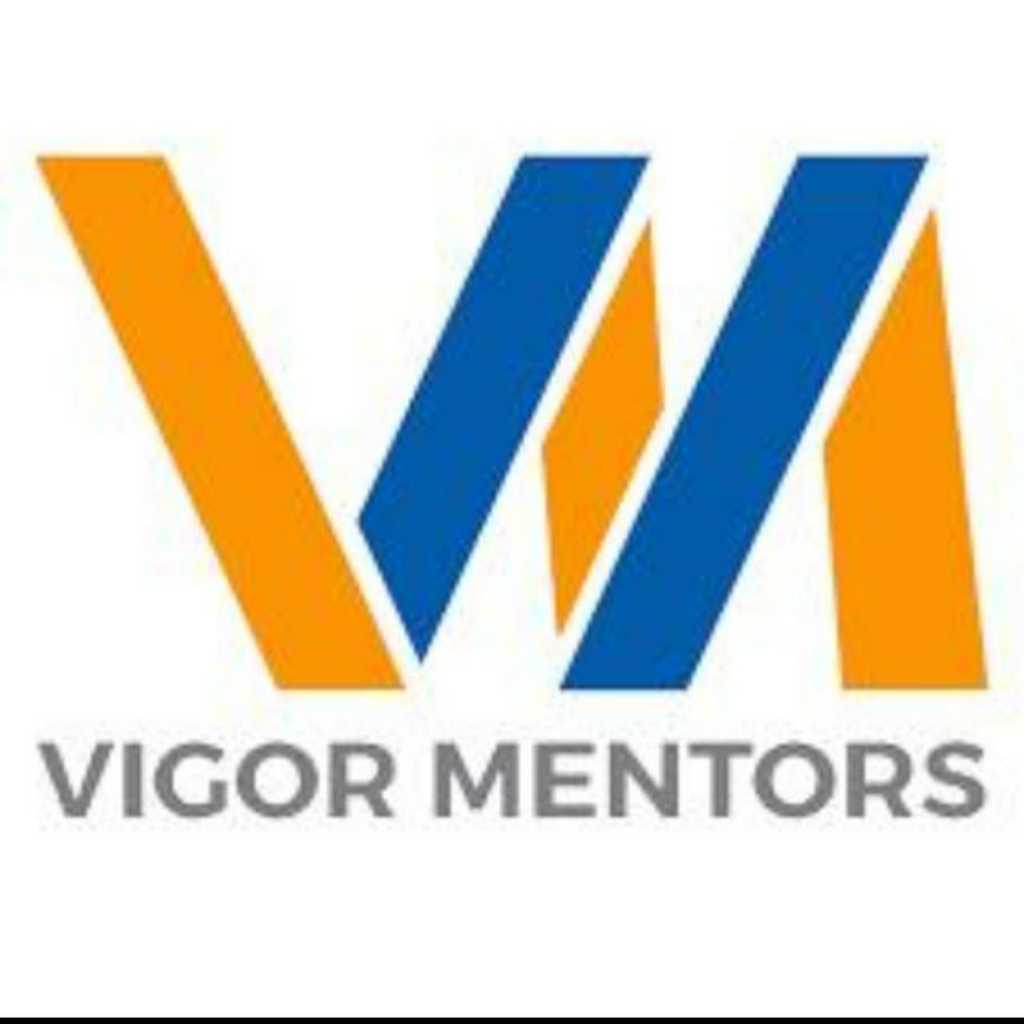 VIGOR MENTORS