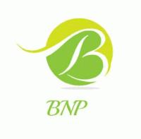 Bnp Pvt Ltd.