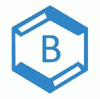 Blue Ocean Company