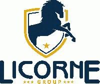 LICORNE GROUP