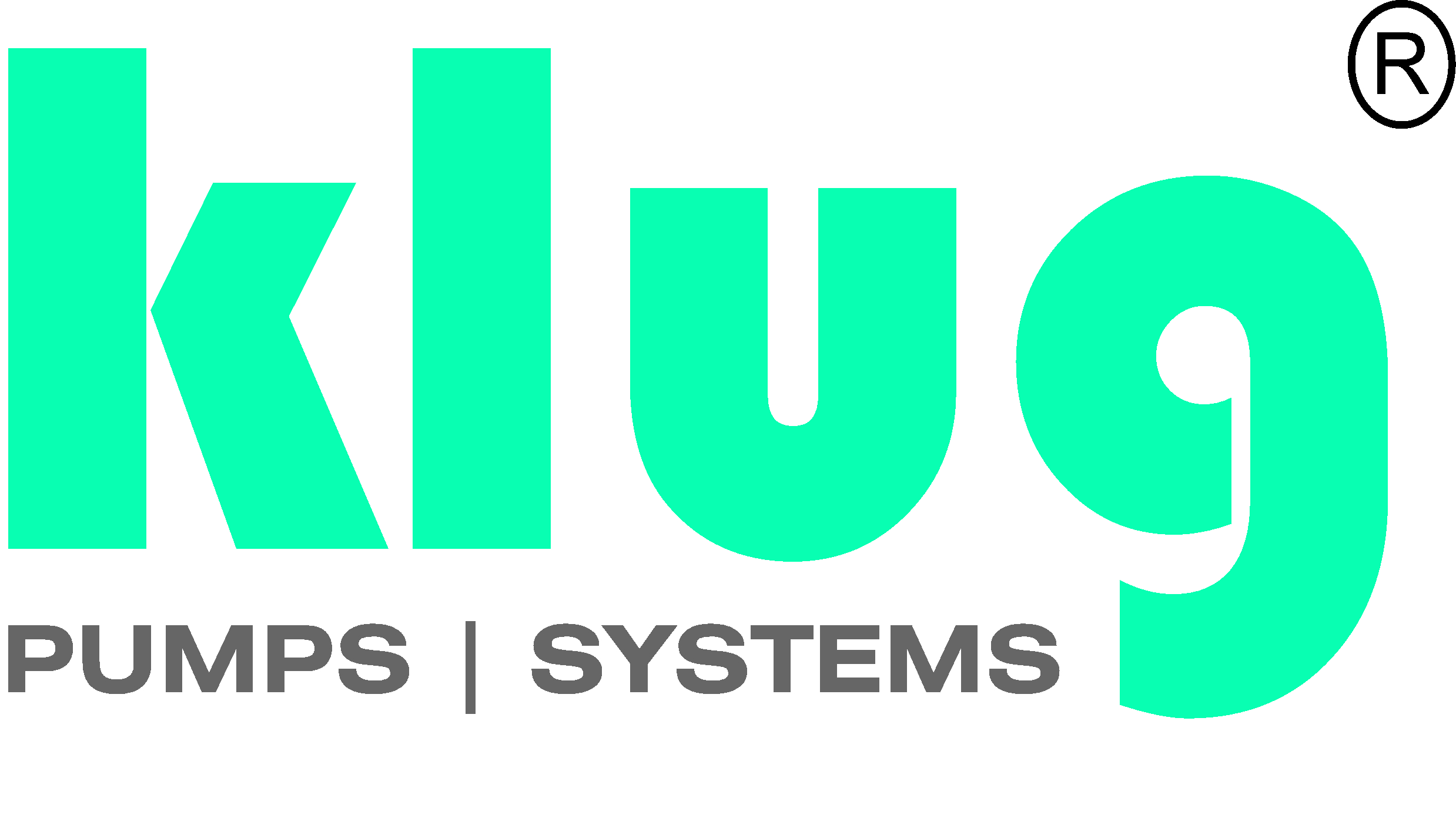 KLUG PUMPS PRIVATE LIMITED