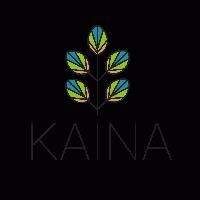 Kaina Global Inc.