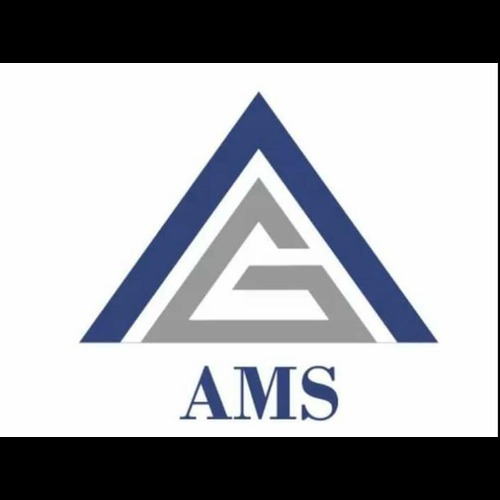 AMS ENTERPRISE