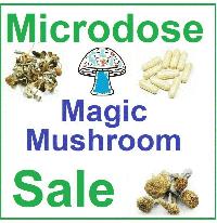 Medical Beneficial Mushrooms