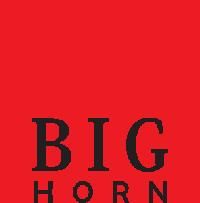 Big Horn Shoes