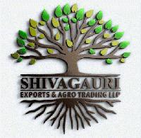 SHIVAGAURI EXPORTS & AGRO TRADING LLP