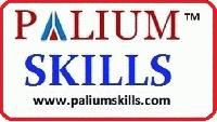 Palium Skills